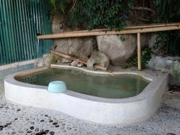 温泉いわさき