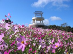 中尾山公園